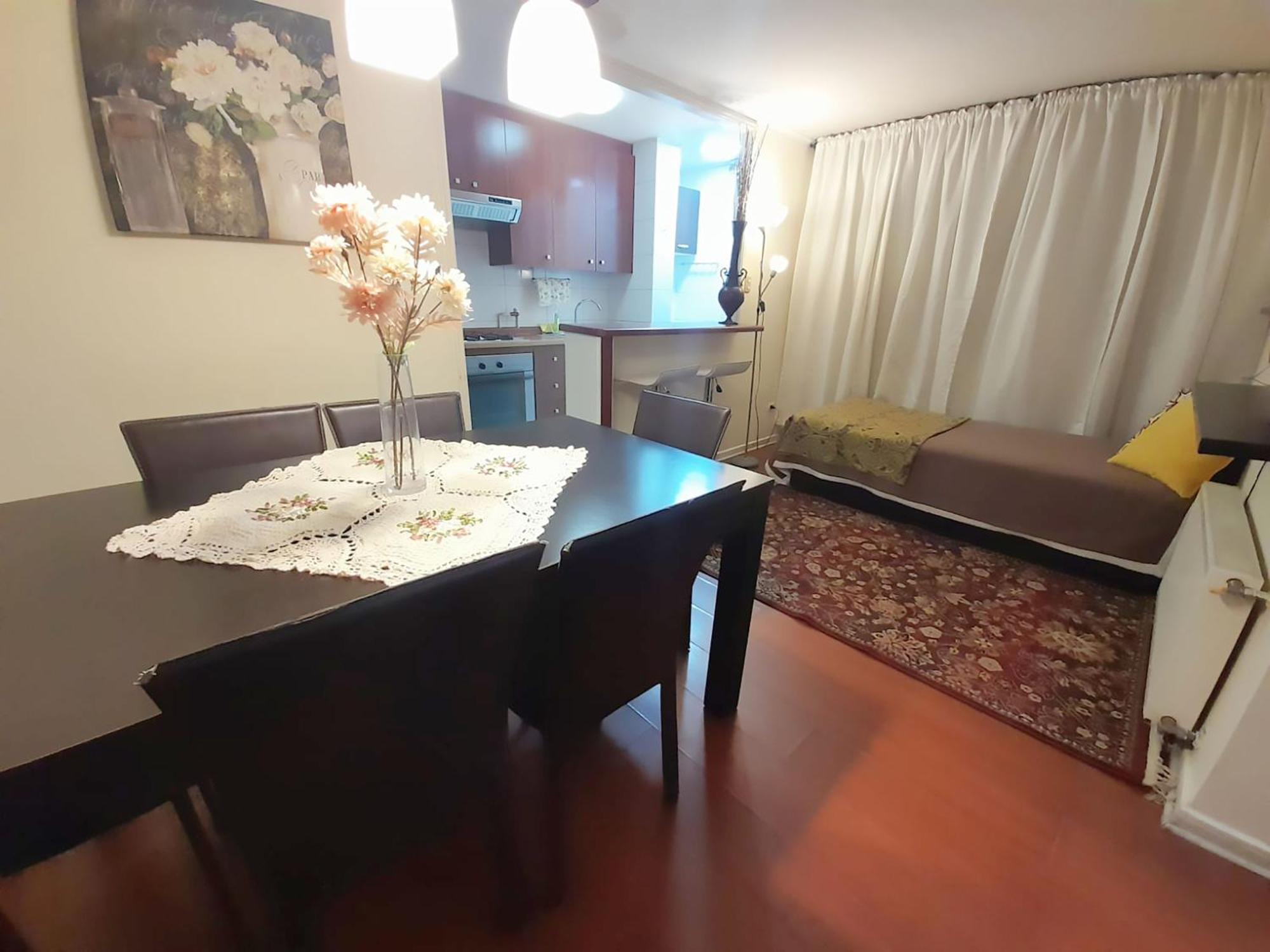 Vip Apartments Chile Santiago Dış mekan fotoğraf