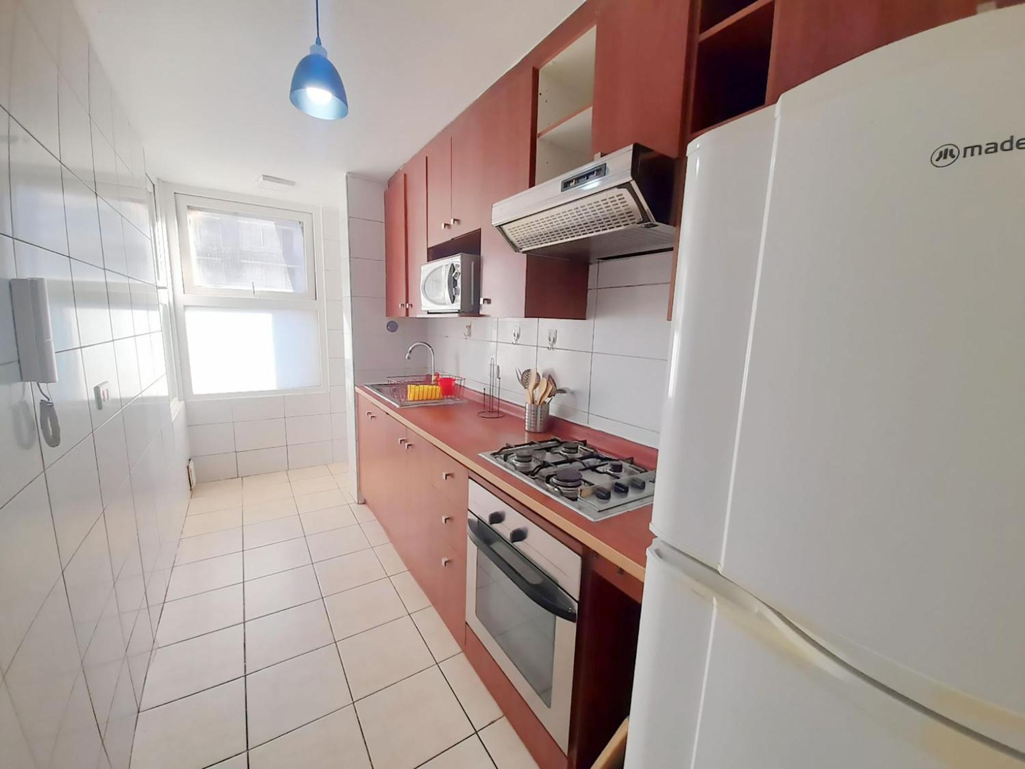 Vip Apartments Chile Santiago Dış mekan fotoğraf