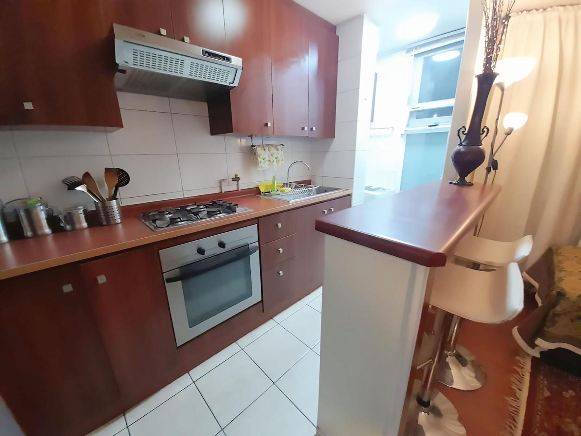 Vip Apartments Chile Santiago Dış mekan fotoğraf